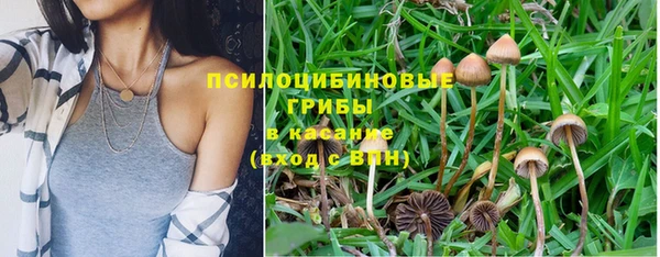 спайс Абинск