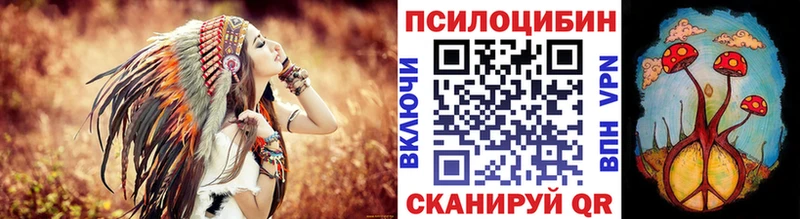 Псилоцибиновые грибы MAGIC MUSHROOMS  это клад  Кизилюрт  как найти наркотики 